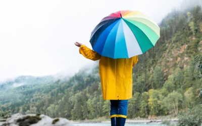 Protections – what each one does, who needs them, and how much